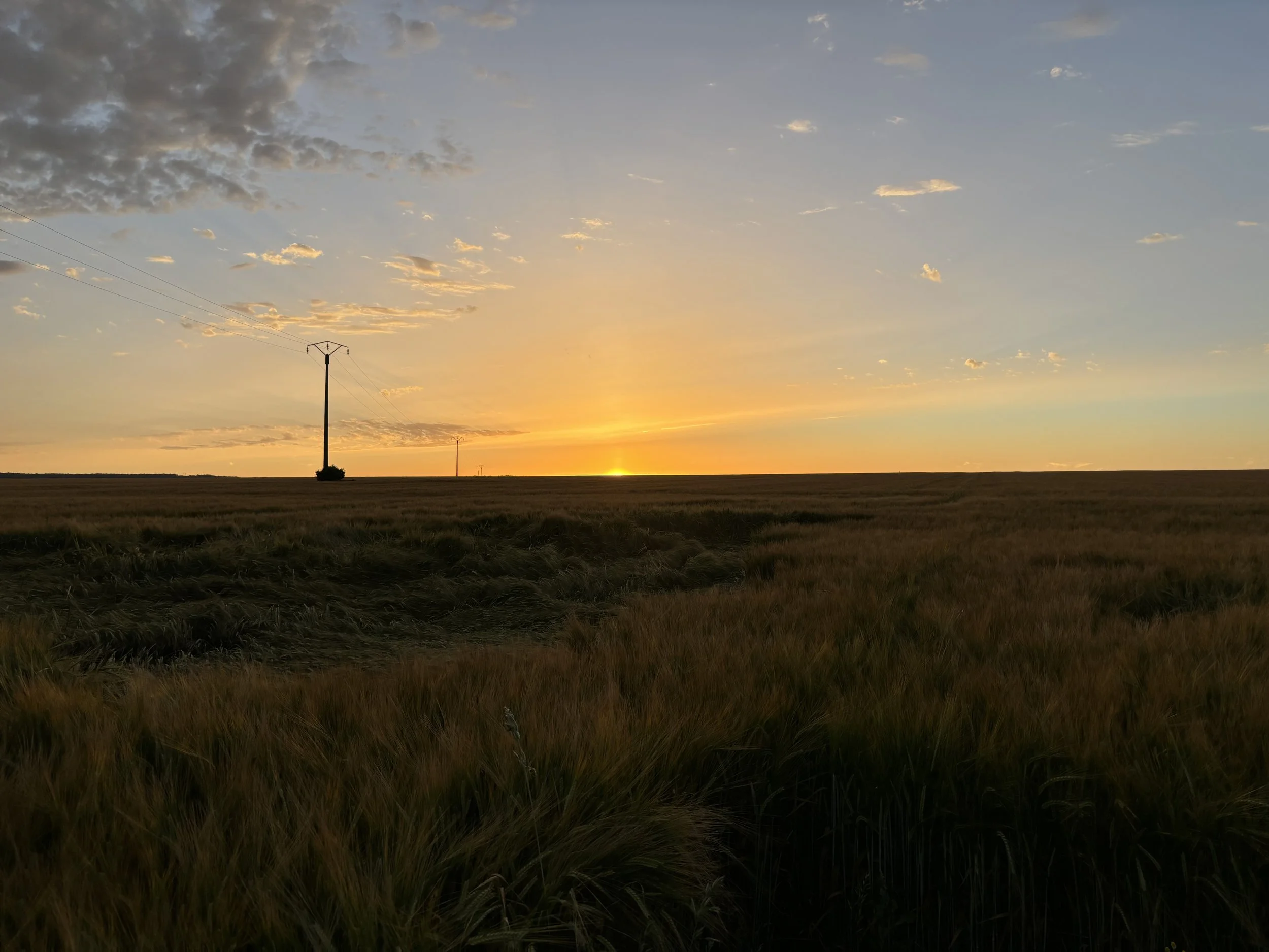 consultation de naturopathie holistique