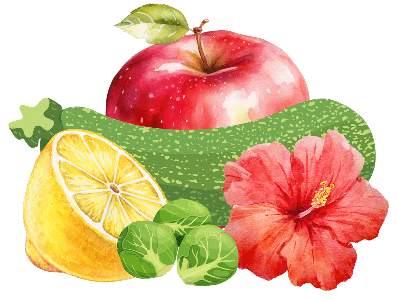 Bild mit Apfel, Zitrone, Gurke, Rosenkohl, Hibiskusblüte, alles in einer Collage