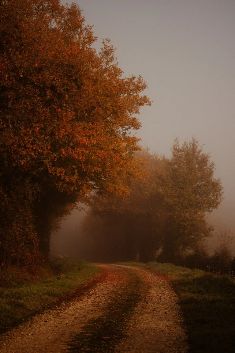 IMG_0985 (Moyenne).jpg