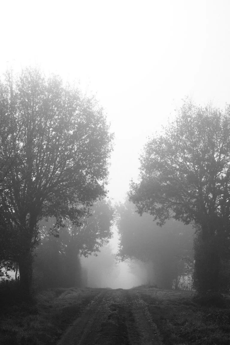 IMG_1025 (Moyenne).jpg