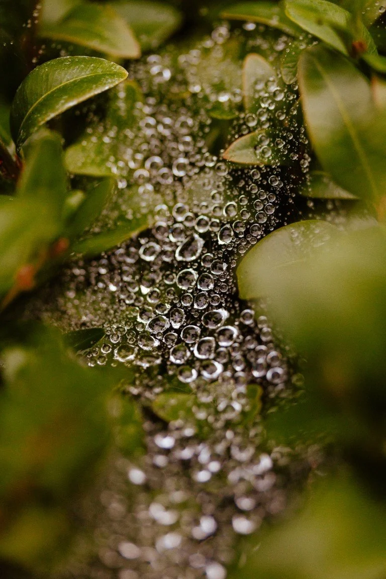 IMG_9644 (Moyenne).jpg