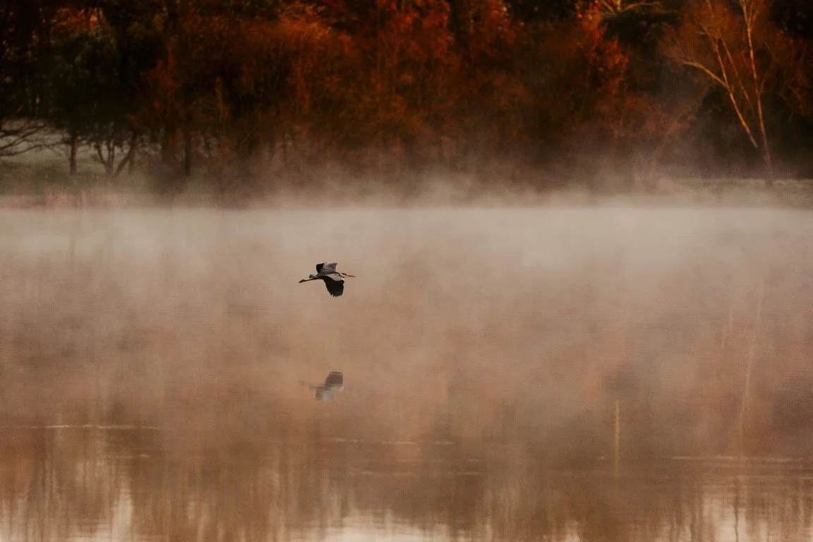 Etang_L__2861-Modifier (Moyenne).jpg