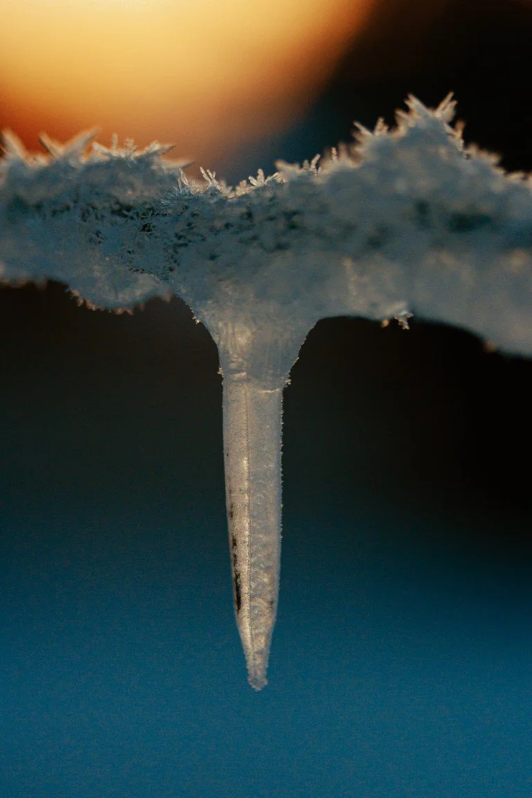 IMG_1734 (Moyenne).jpg