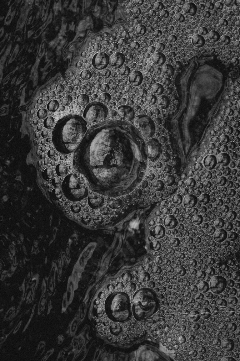 IMG_1413 (Moyenne).jpg