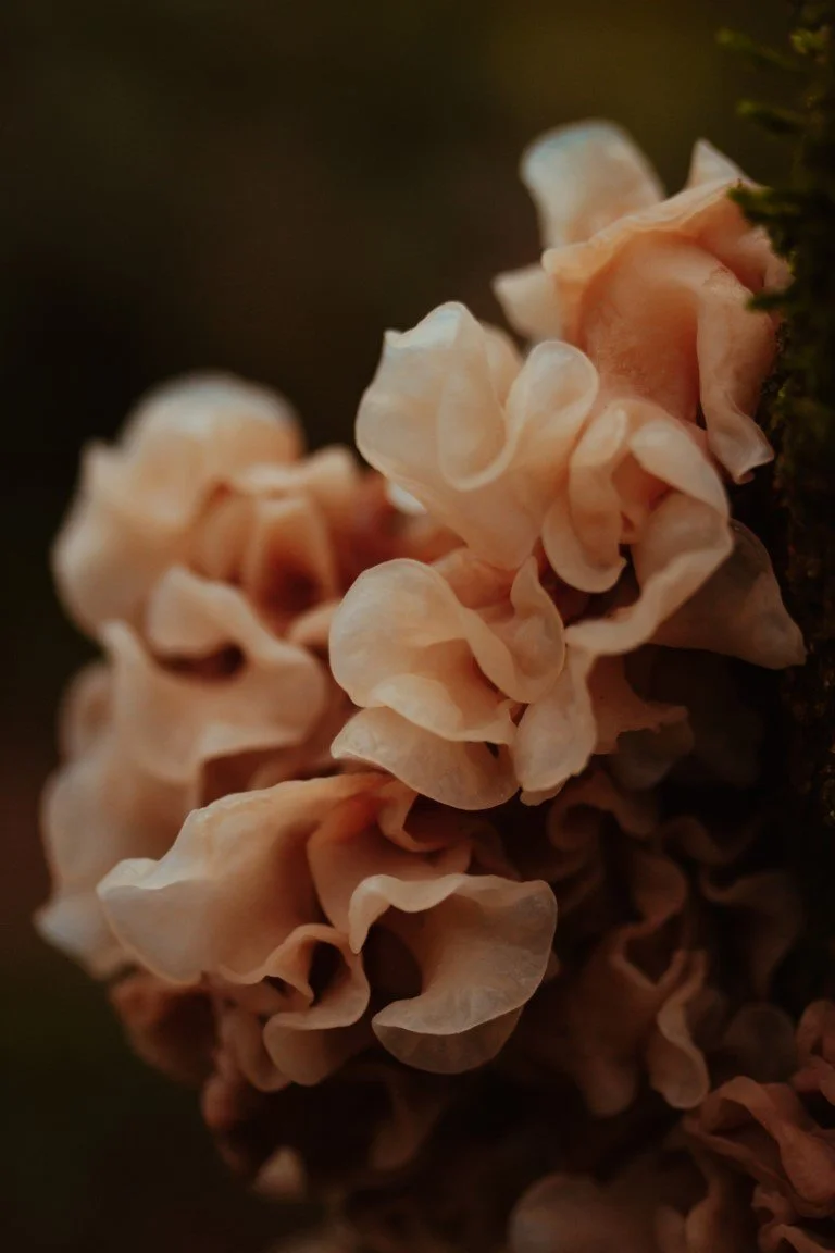 IMG_1398 (Moyenne).jpg