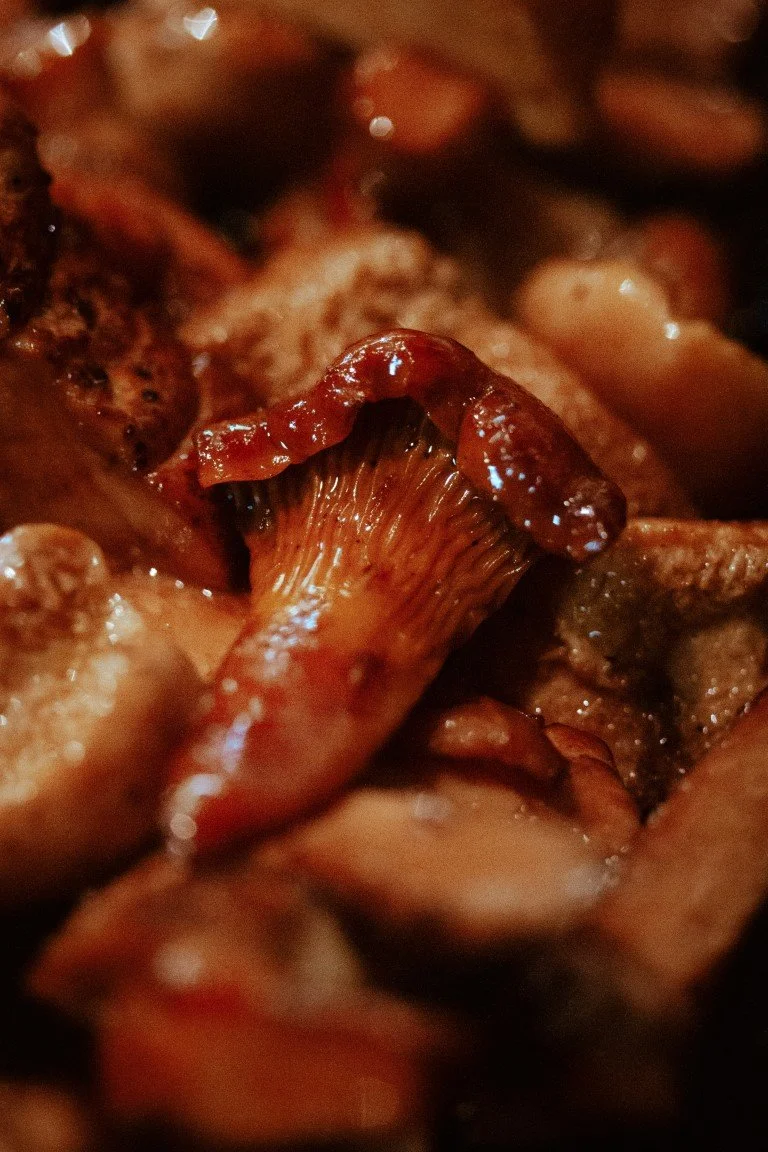 IMG_0541 (Moyenne).jpg