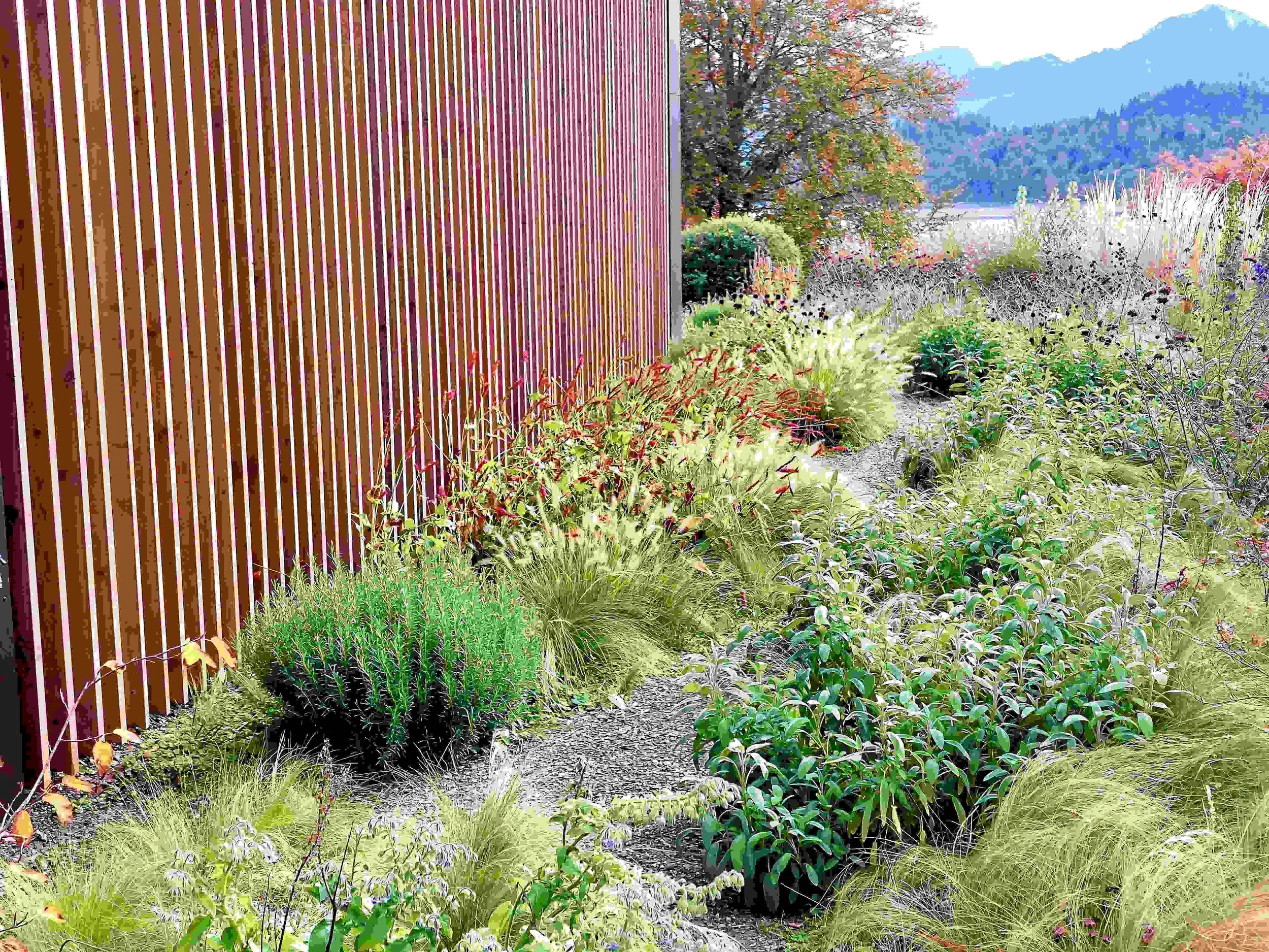 gartengestaltung-farbkonzept-pflanzplanung-begruenungskonzept.jpg
