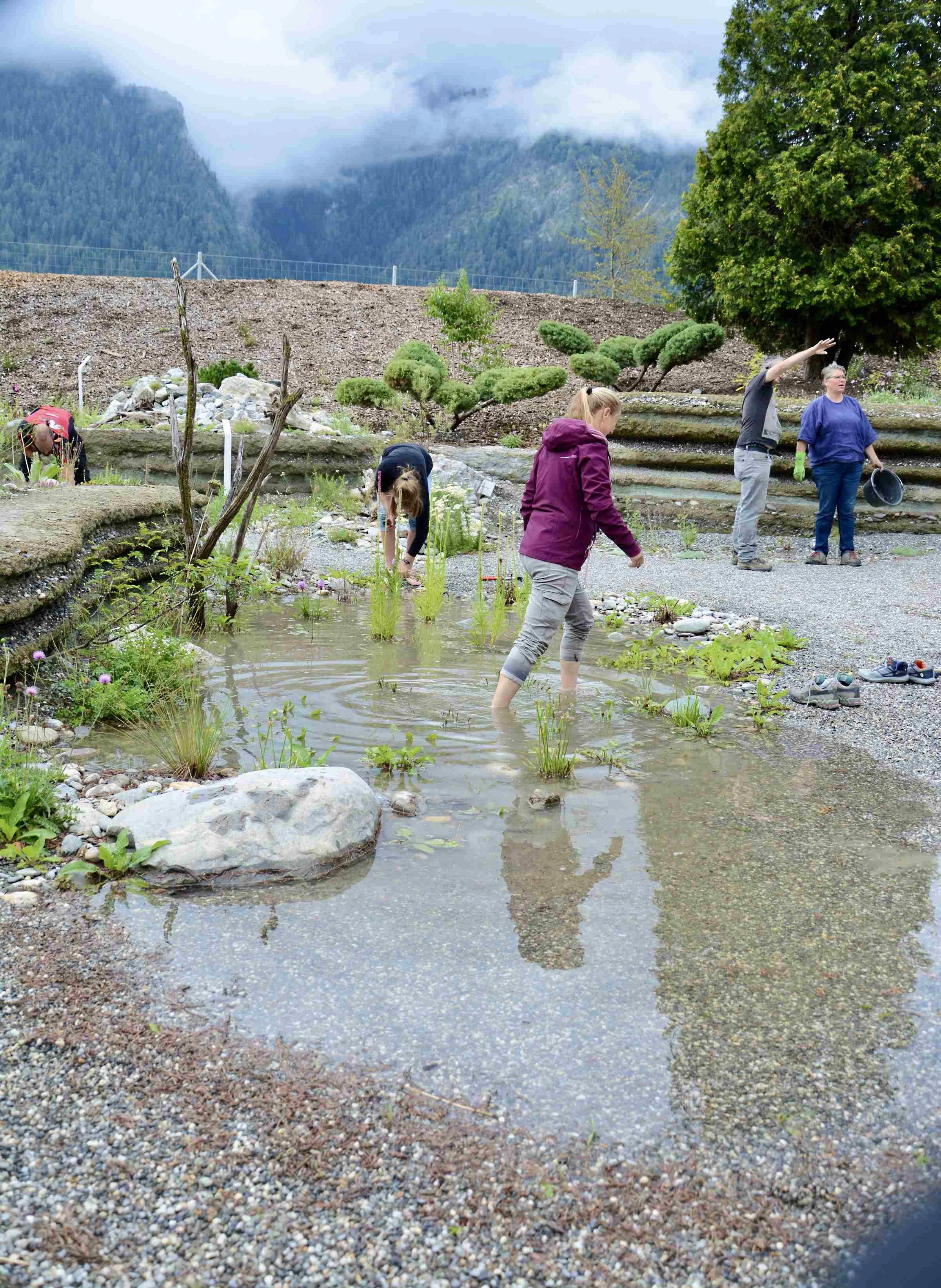 Blick auf die Pflanzinsel im Klimagarten Domat-Ems: Gruppenarbeit bei der Pflege von Stauden in der Wassersenke/Feuchtzone.