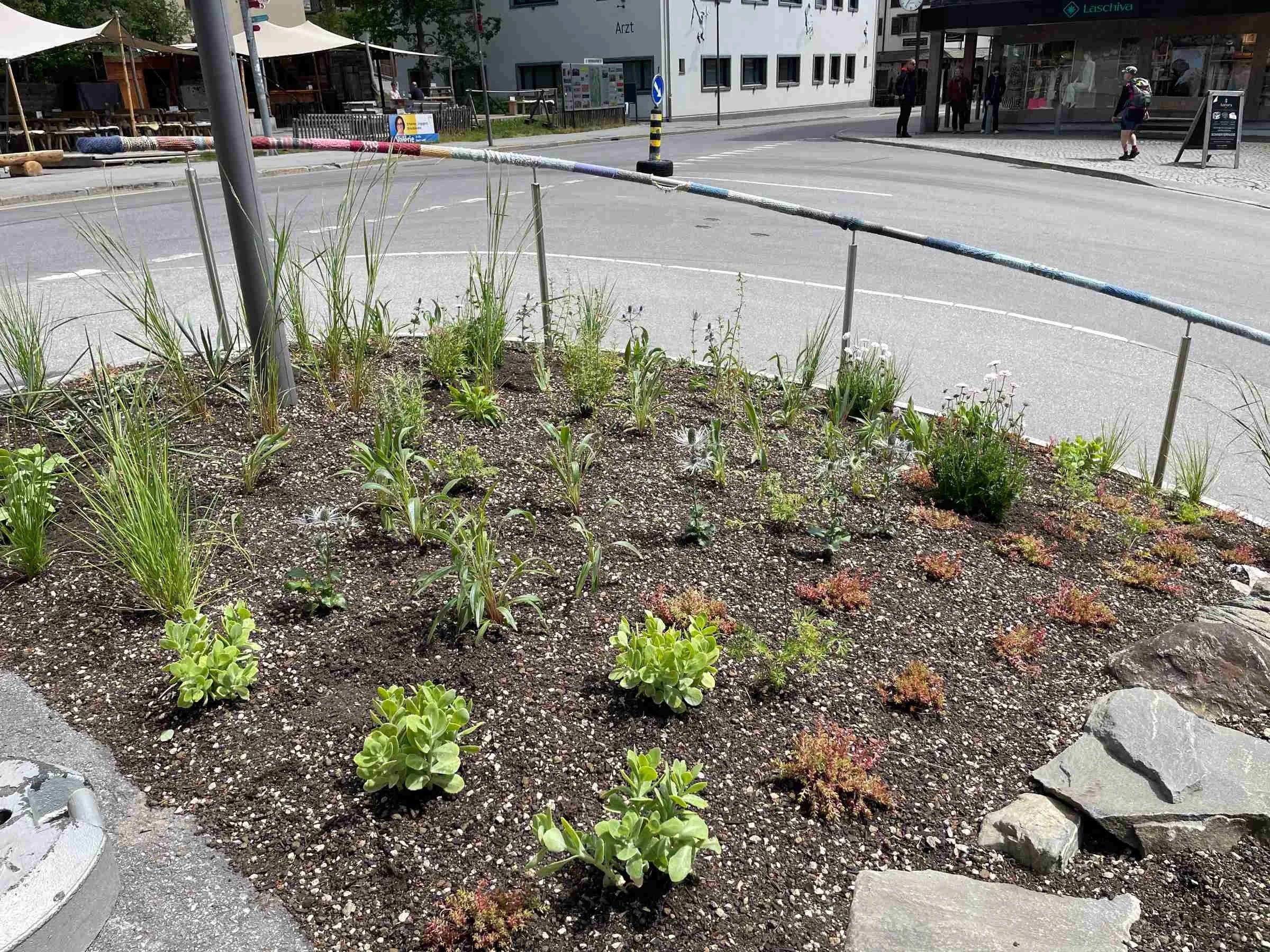 Biodiverse Staudenbepflanzung