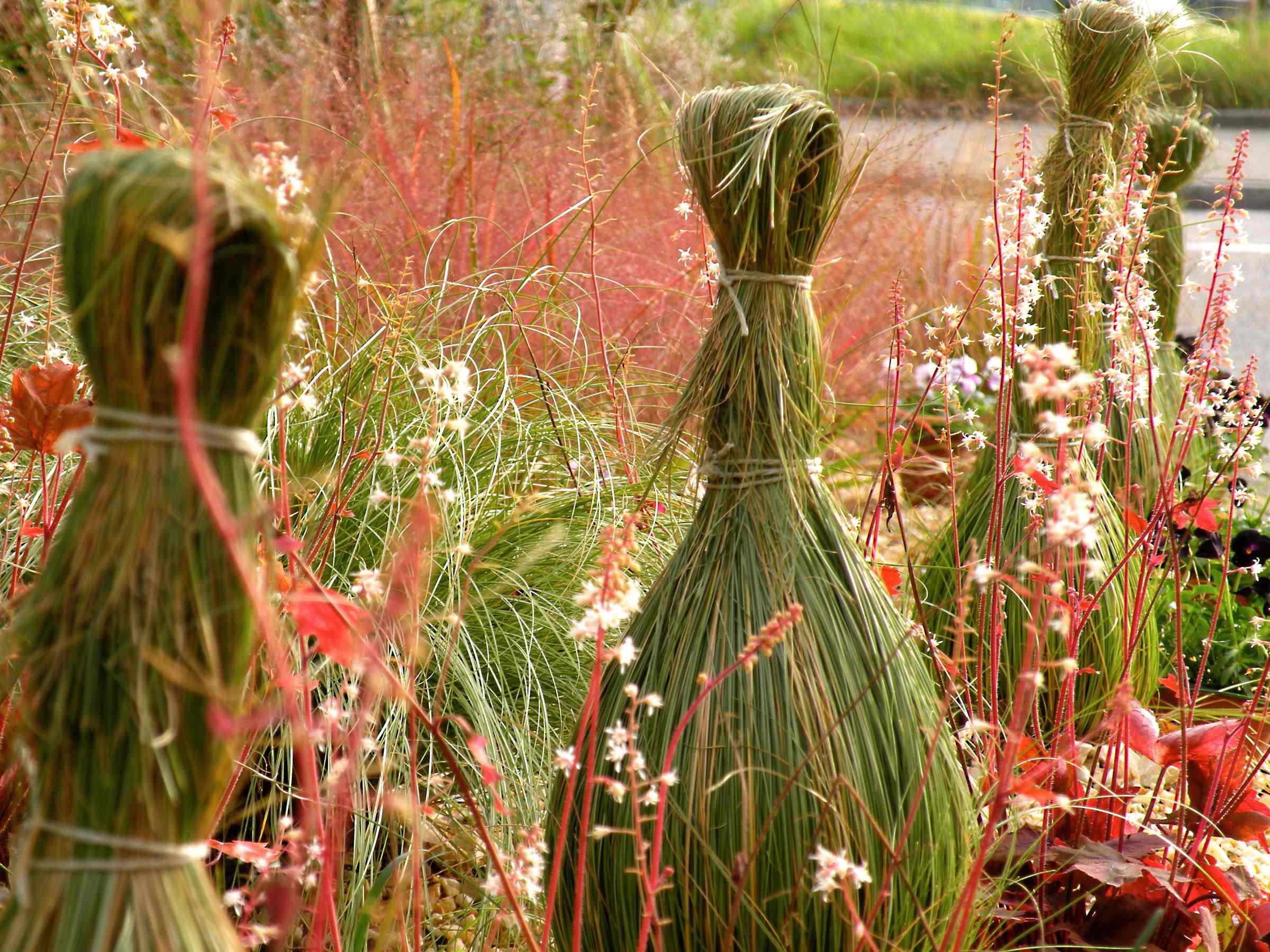 begruenung-firmenareal-naturgarten-ziergraeser.jpg