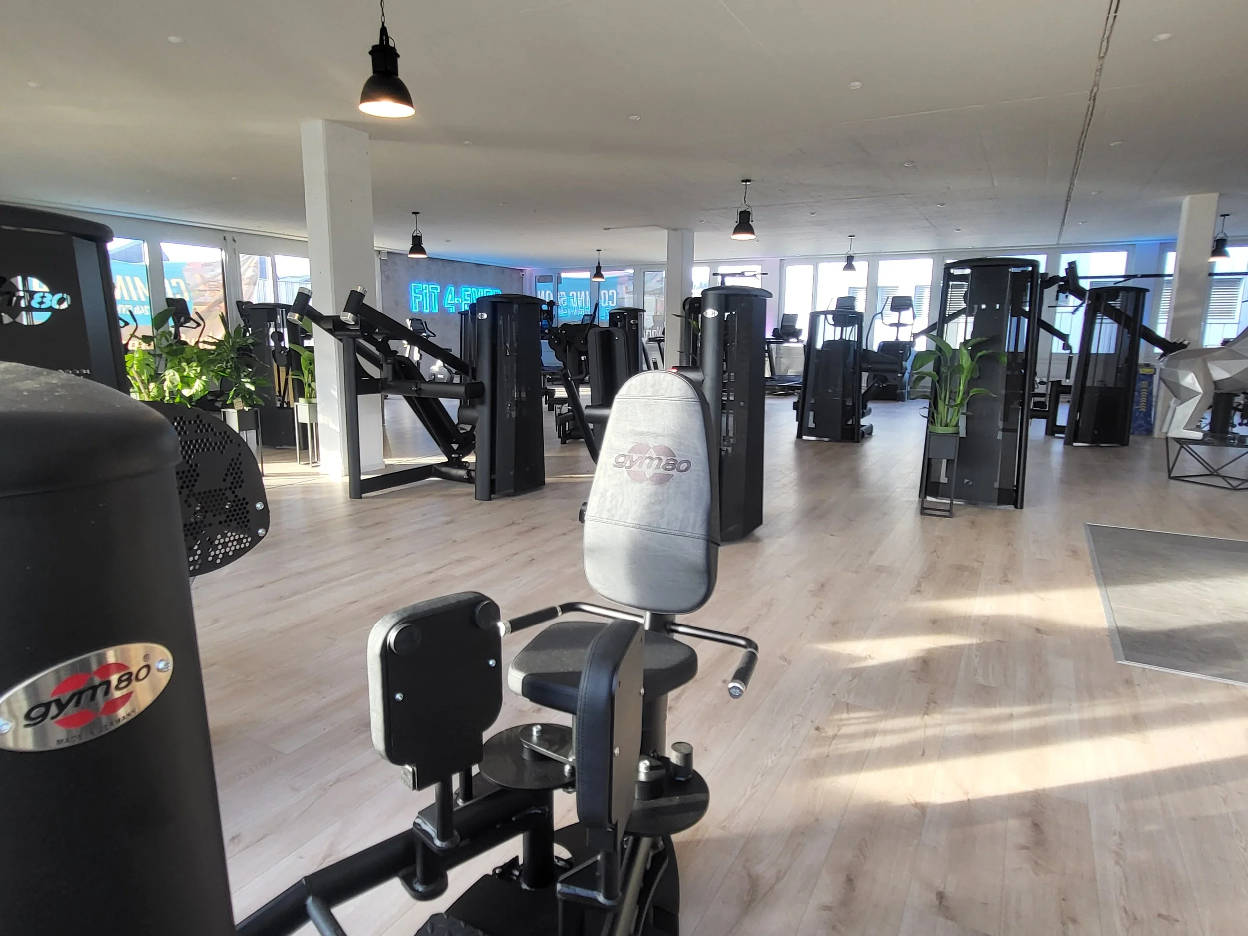 Fitnesstraining.jpg