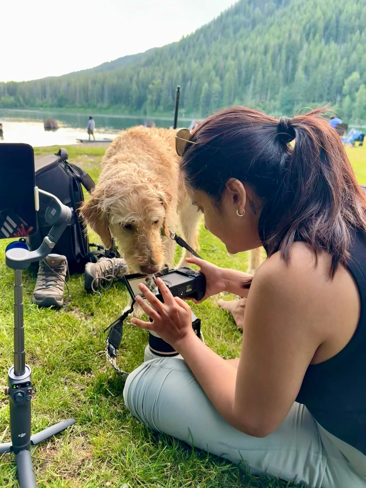 Golden doodle dog is checking if the photographer got the shot