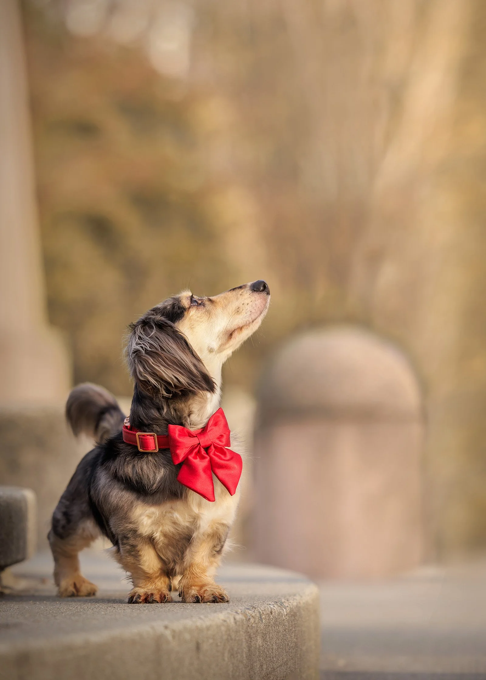 Kelsey Creek Park, Bellevue
