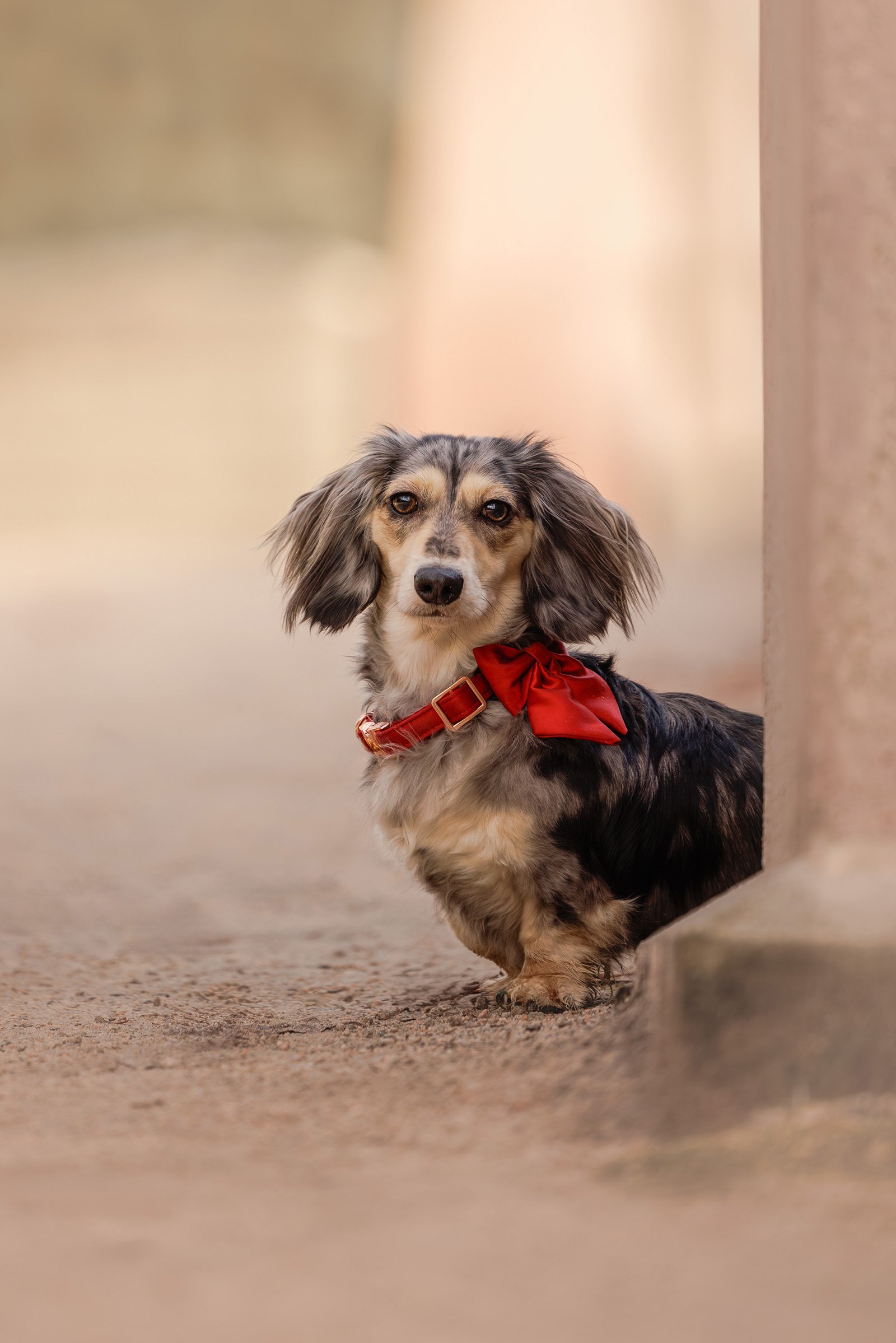 Kelsey Creek Park, Bellevue