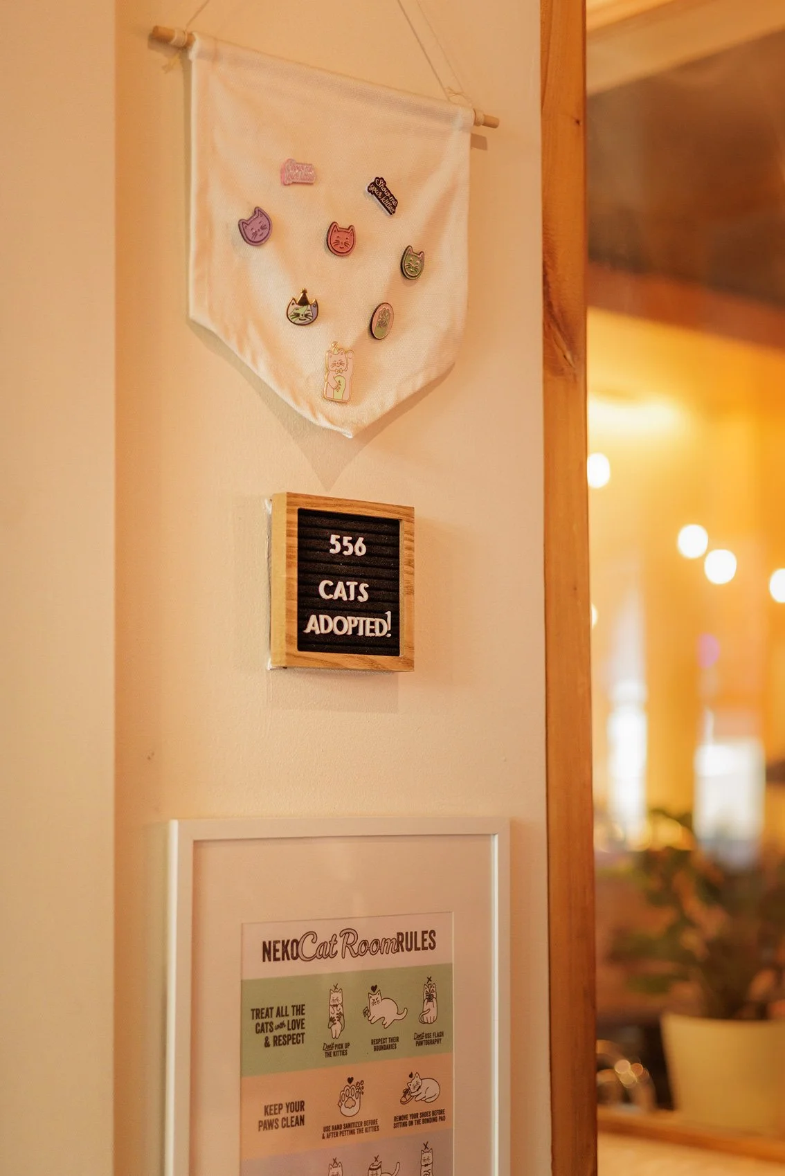 Number of adopted cats at Neko Cat Cafe