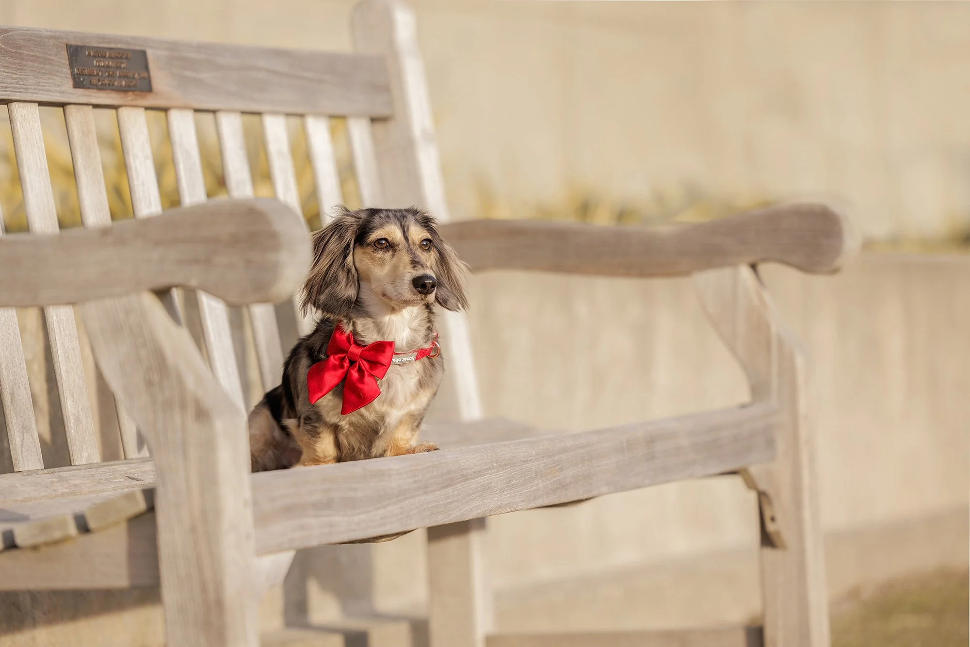 Kelsey Creek Park, Bellevue