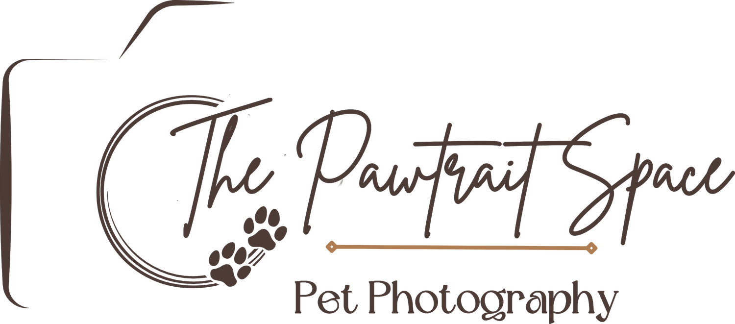 The Pawtrait Space