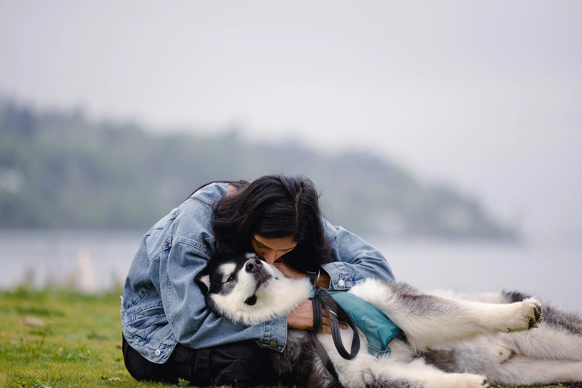 Discovery Park Beach