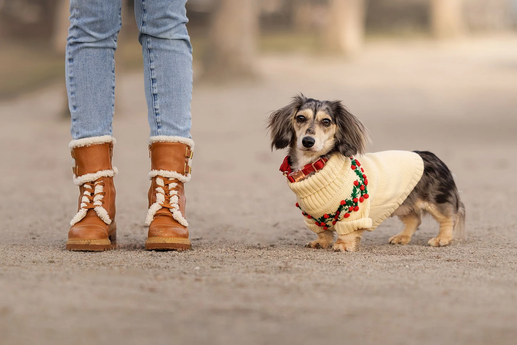 Bellevue Botanical Garden