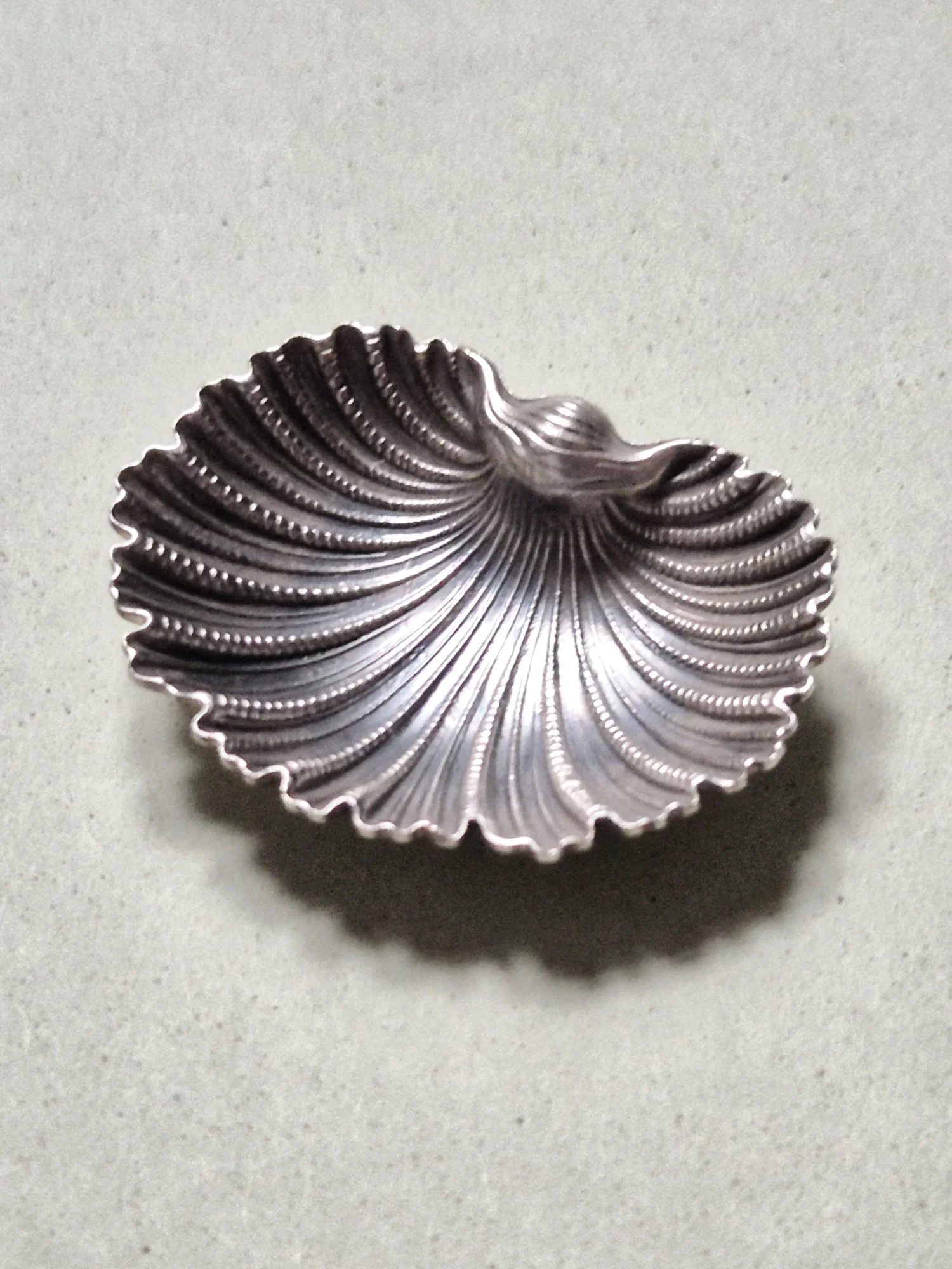Buce_1_web_cropped.jpg
