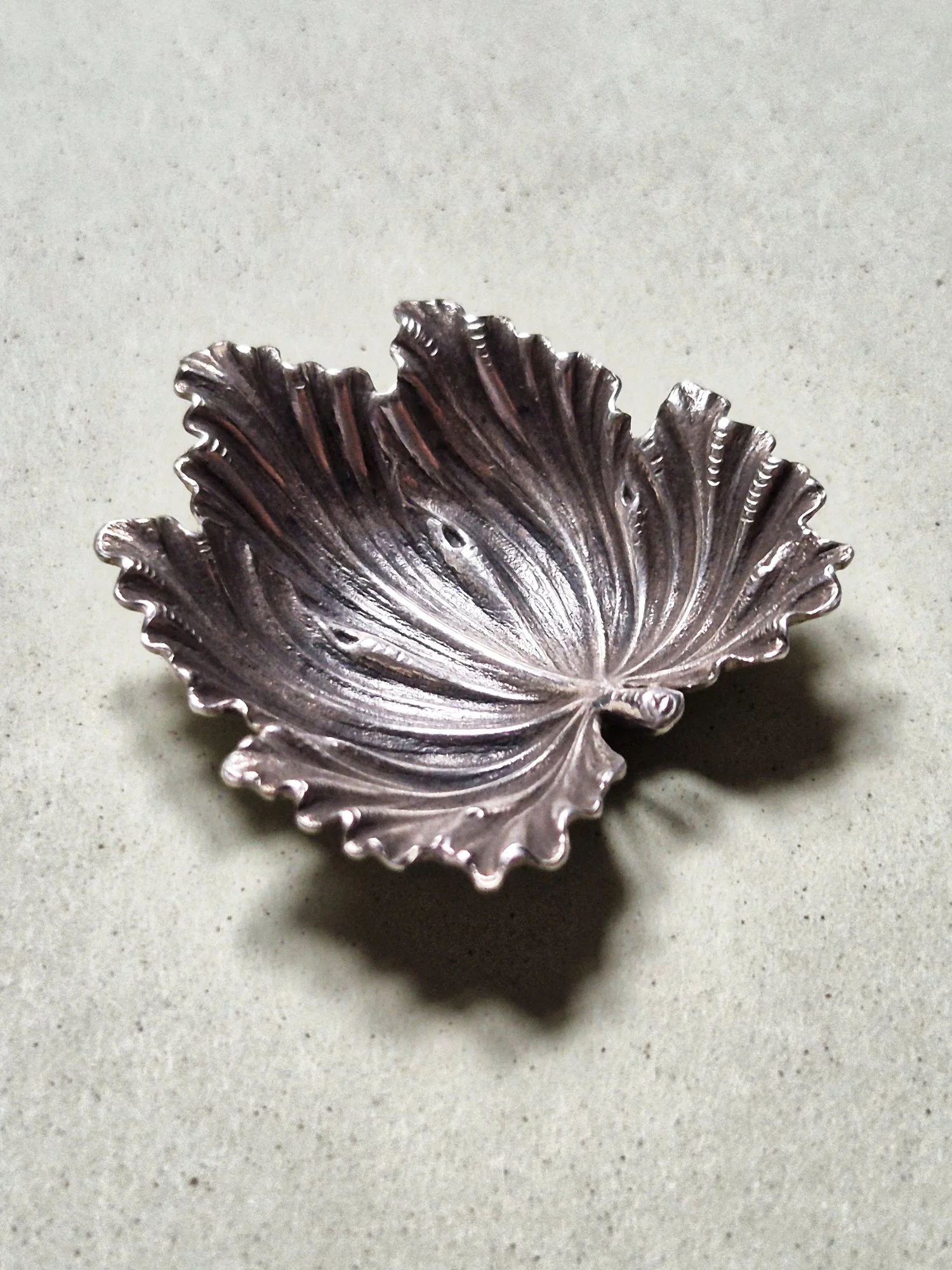 Buce_4_web_cropped.jpg