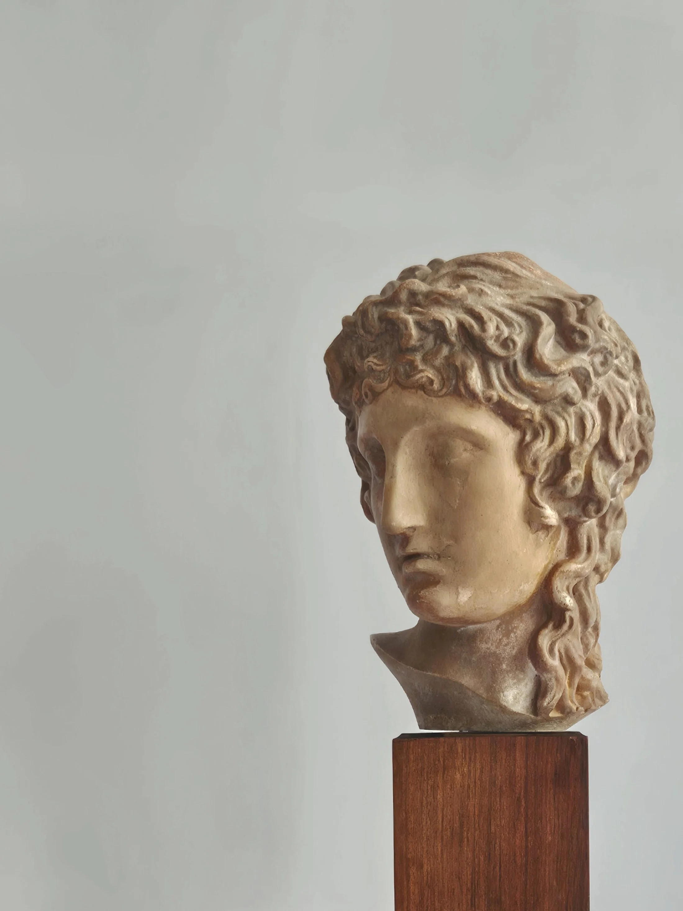 Head of Apollo, c. 1890