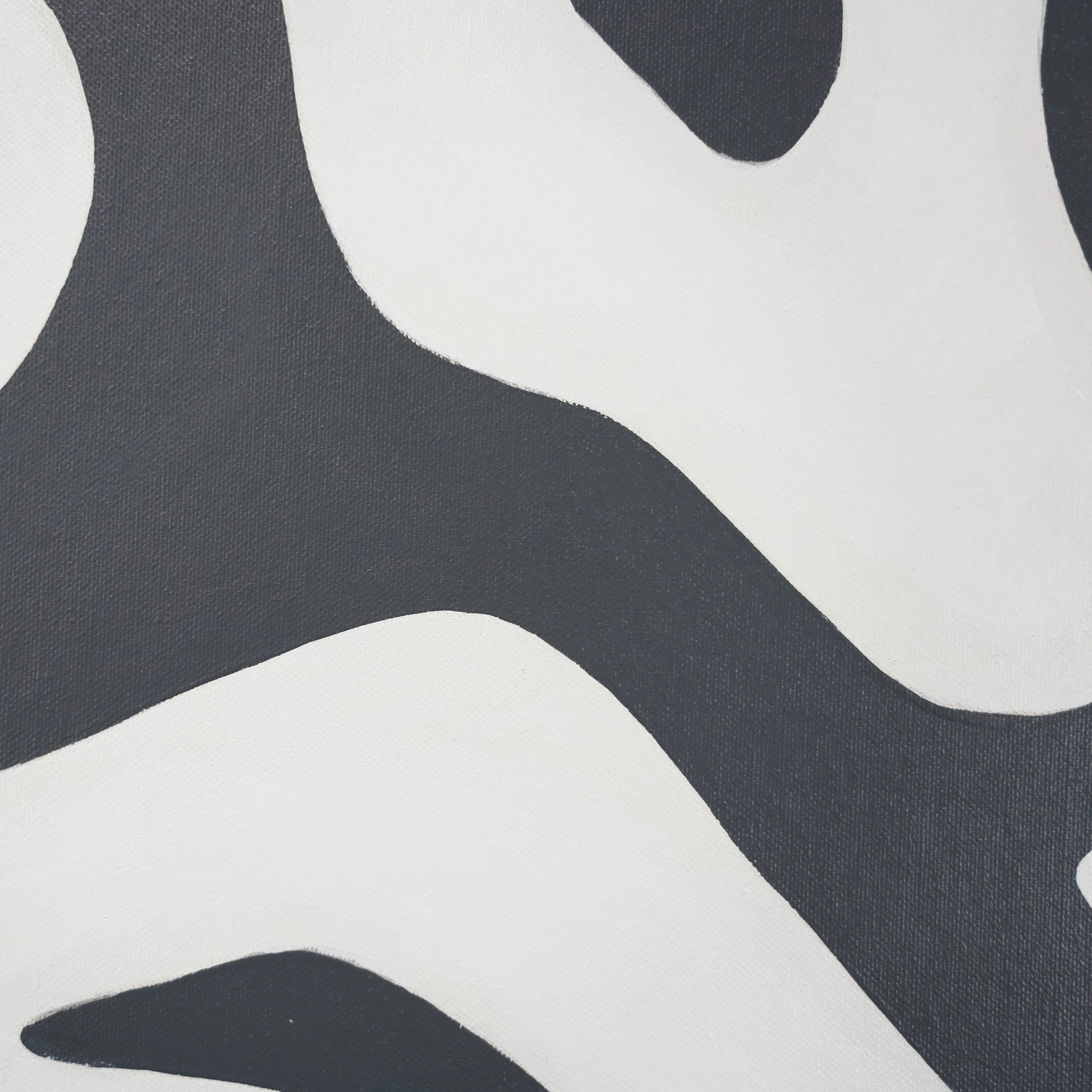 Tidal Forms - Close-up#3.jpg