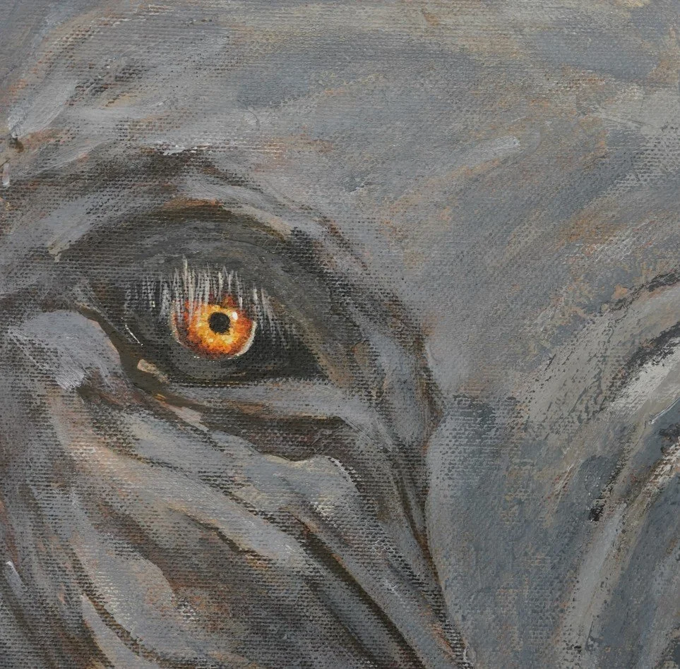 Screenshot 2026-01-02 152555.jpg