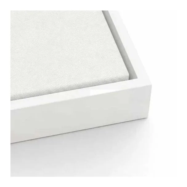 Frame+-+white.jpg