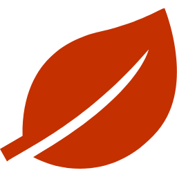 A stylized orange leaf with a black background.