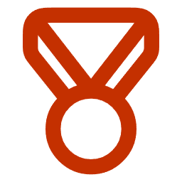 A bronze-colored medal with a ribbon for an award or victory.