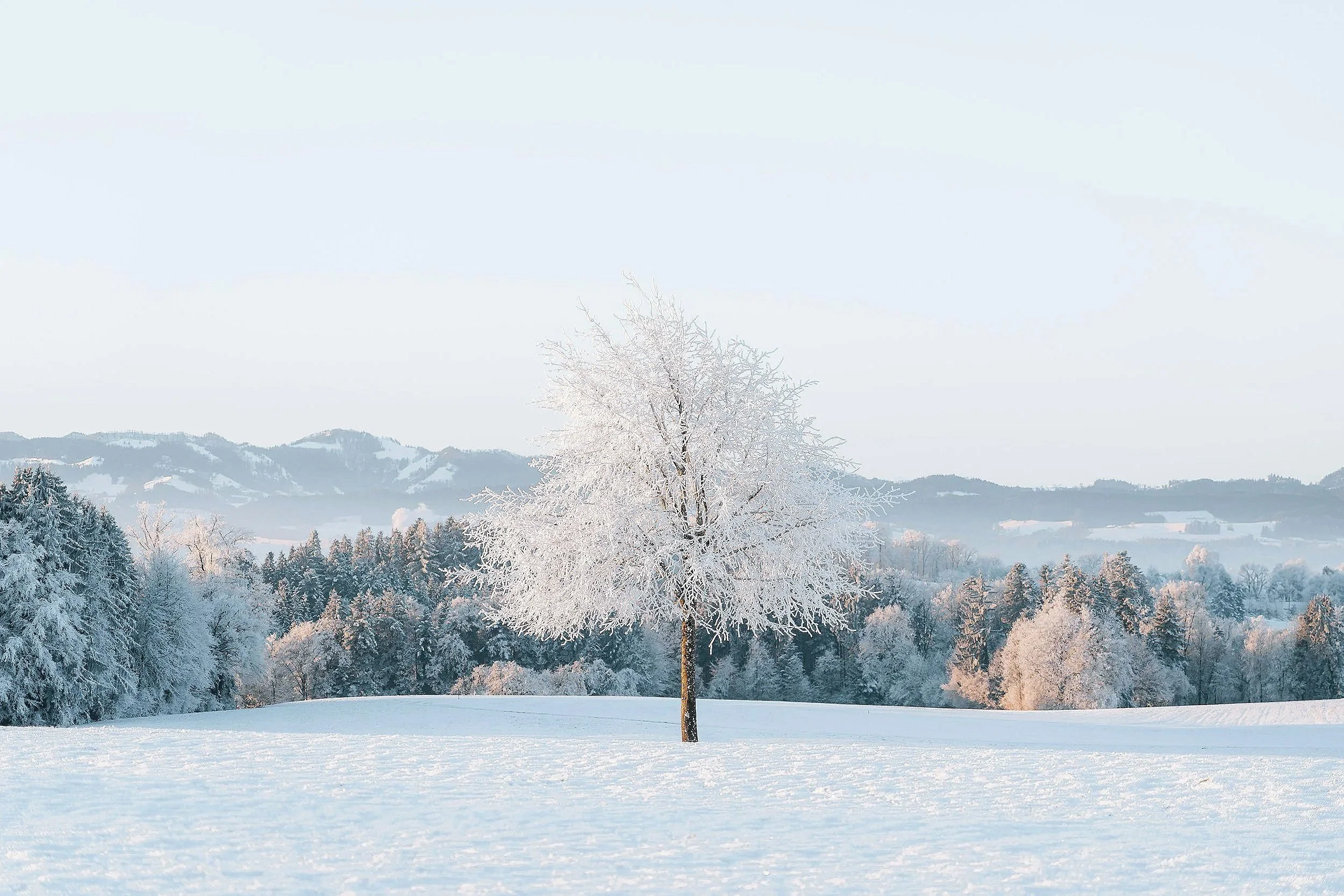 Winter &amp; ADHD