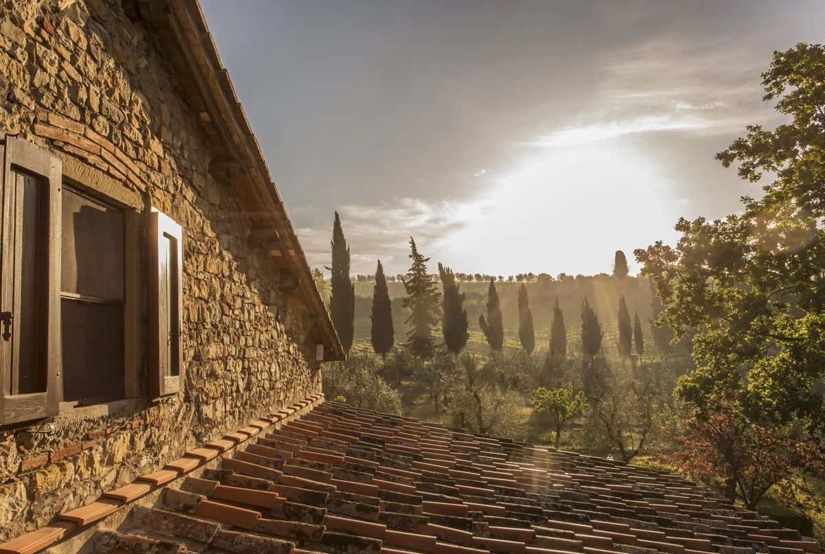 Sonnenaufgang in der Toskana mit Zypressen