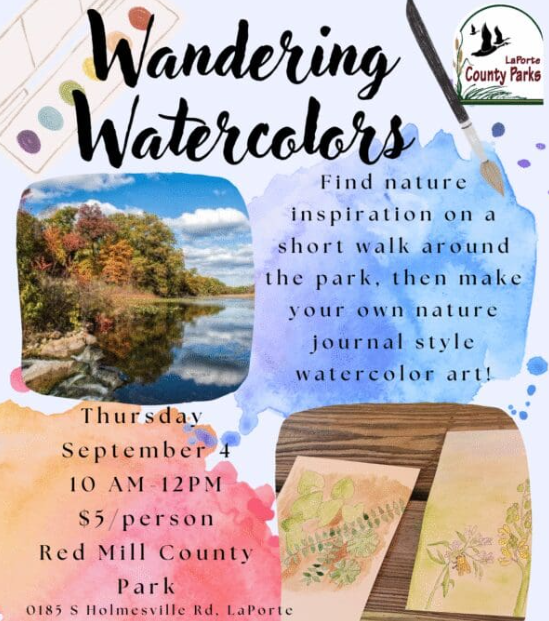 Wandering Watercolors
