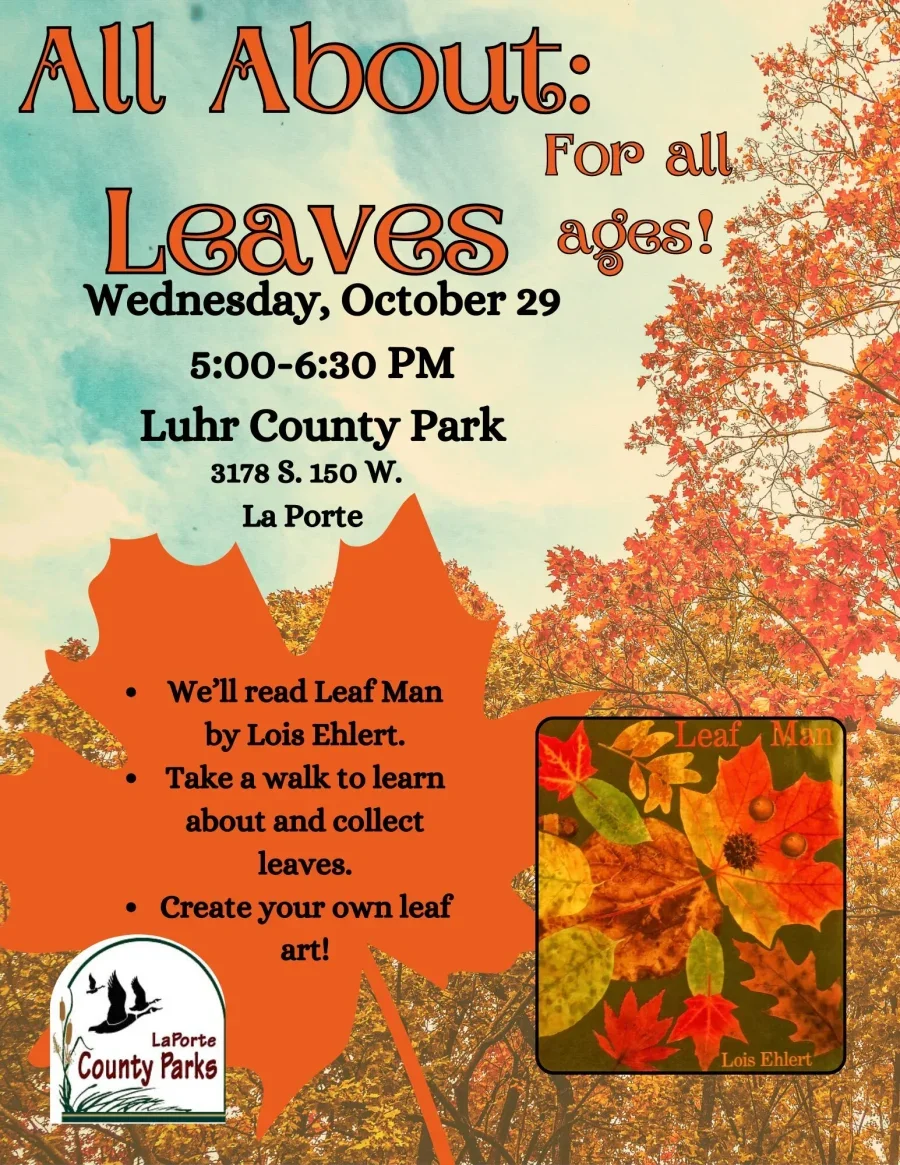 All About: Leaves!