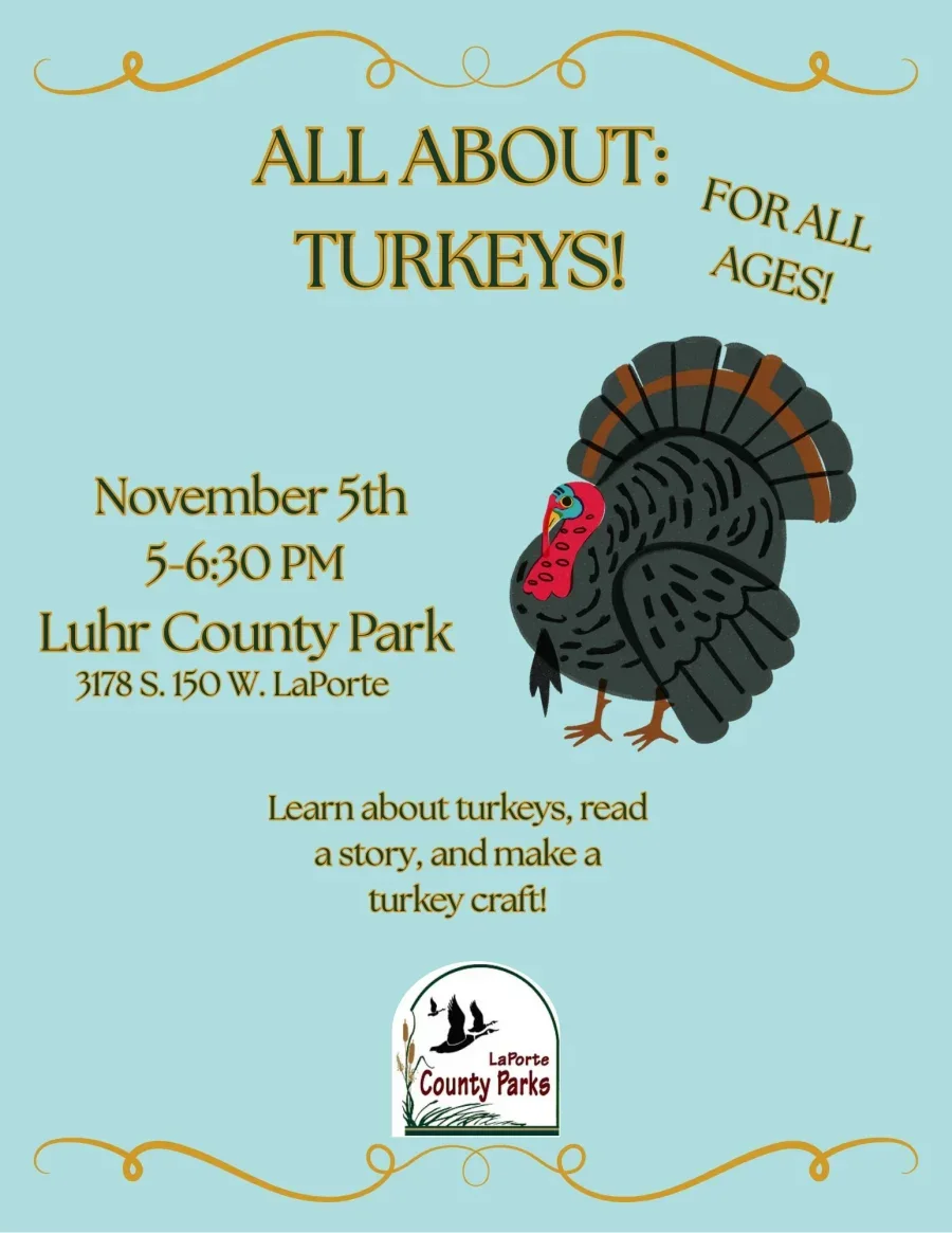 All About: Turkeys!