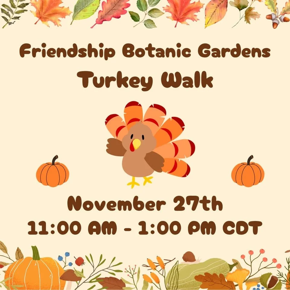 Thanksgiving Turkey Walk