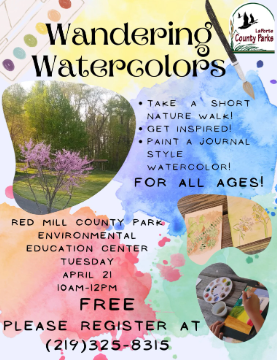 Wandering Watercolors