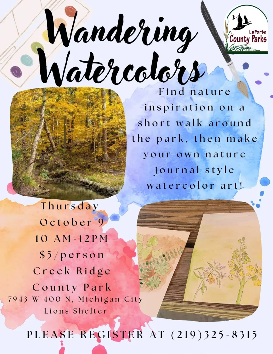 Wandering Watercolors