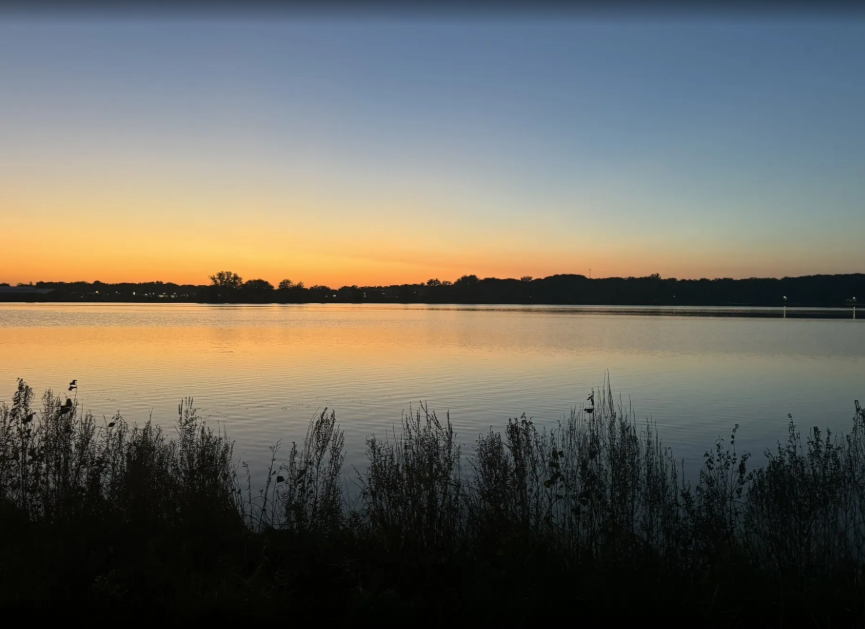 Sunset over a calm lake with silhouetted bushes in the foreground and a distant treeline.