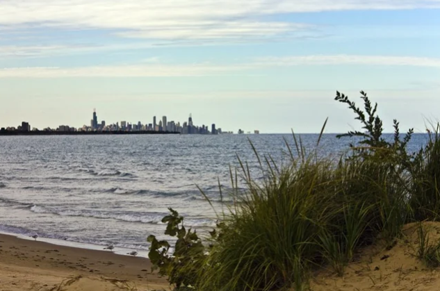 View of Lake Michigan shoreline with tall grass and city skyline in the distance.