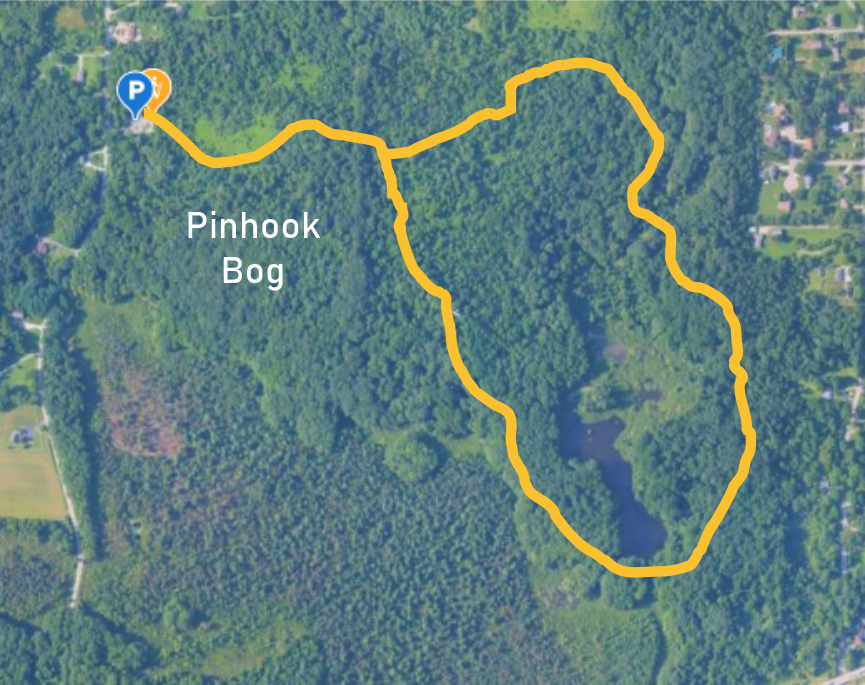 Aerial map of Pinhook Bog with a marked trail in yellow showing a loop around the wetland area and an entrance parking lot at the top left.