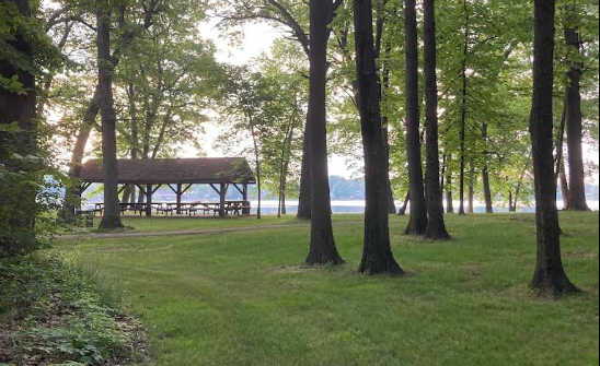 A park with trees, green grass, and a lakeside pavilion in the background.