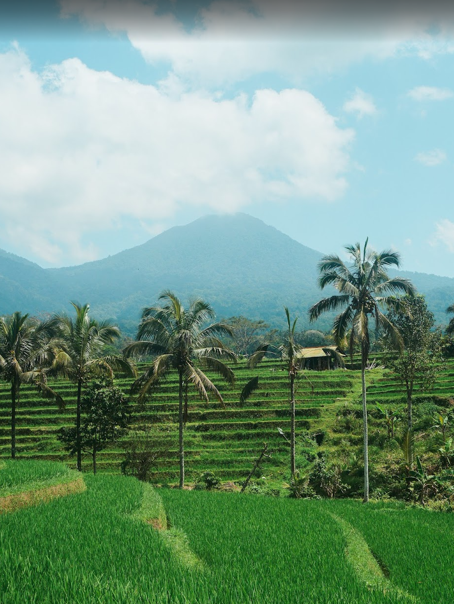 Capture d’écran 2025-07-27 110954.png