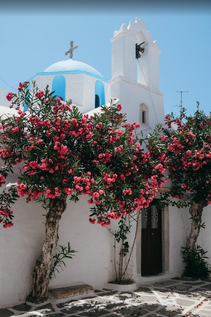 Capture d’écran 2025-07-27 112425.png