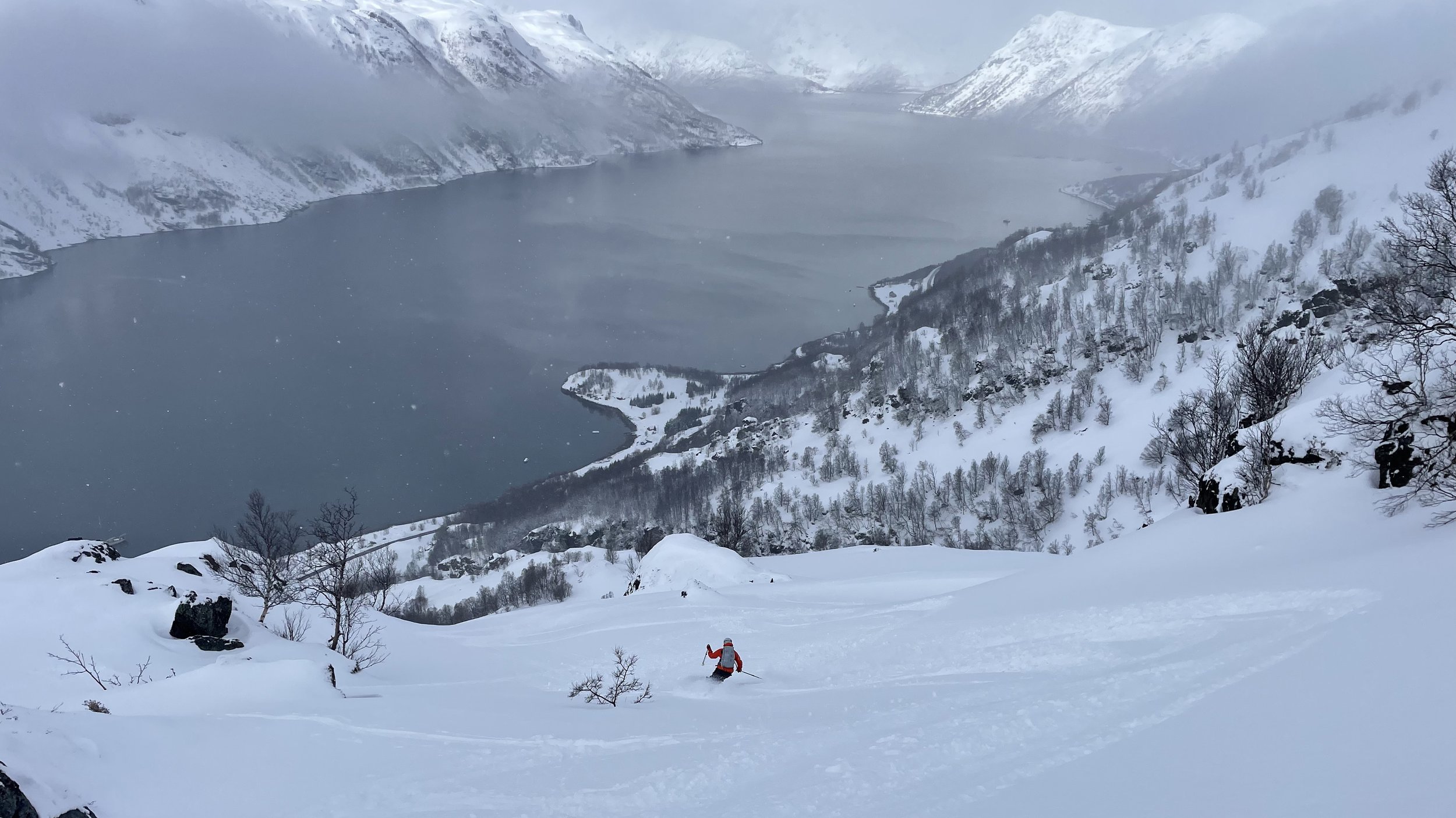 Off-piste skiing on powder towards a Norwegian fjord