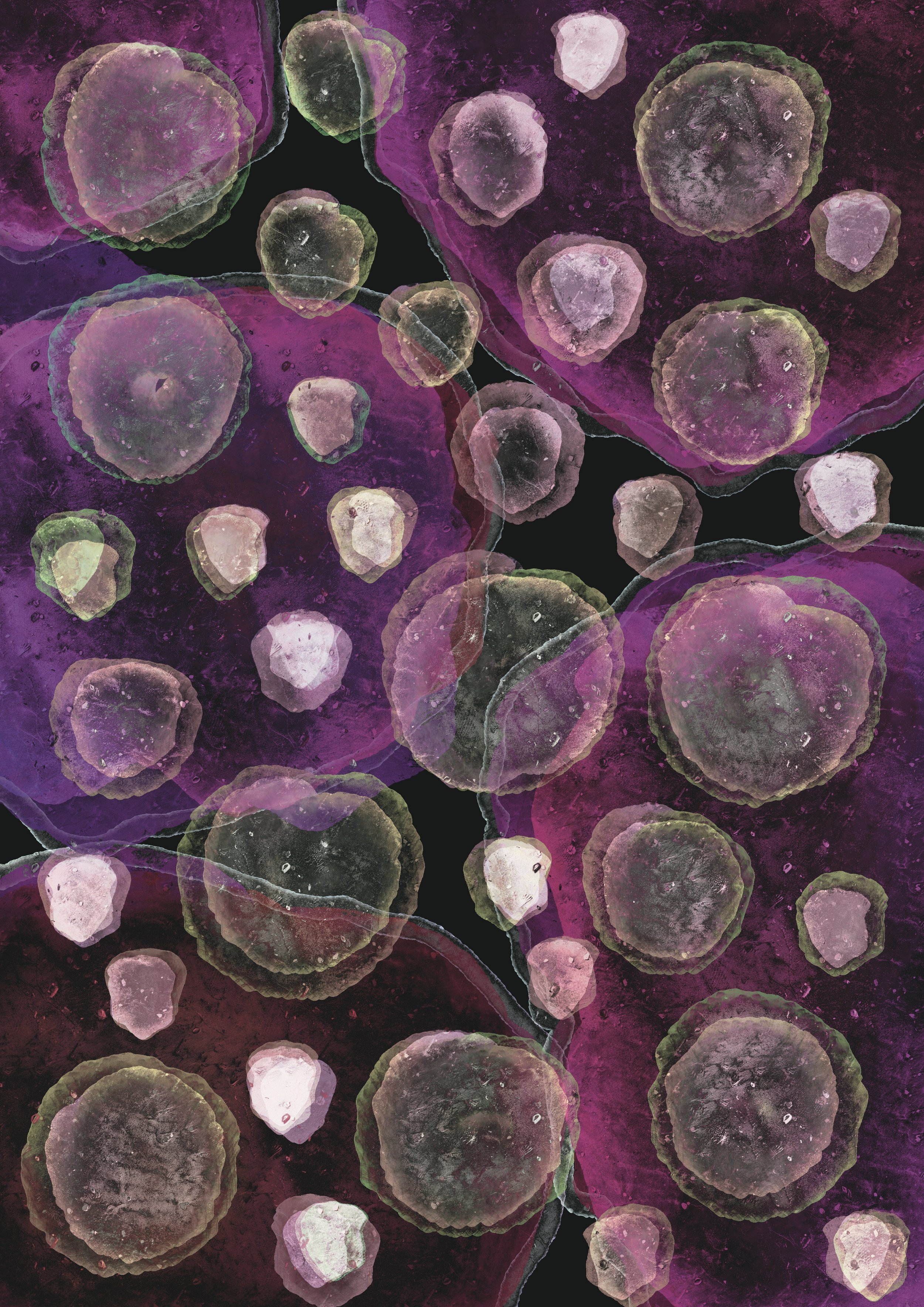 Untitled_Artwork 9.jpg