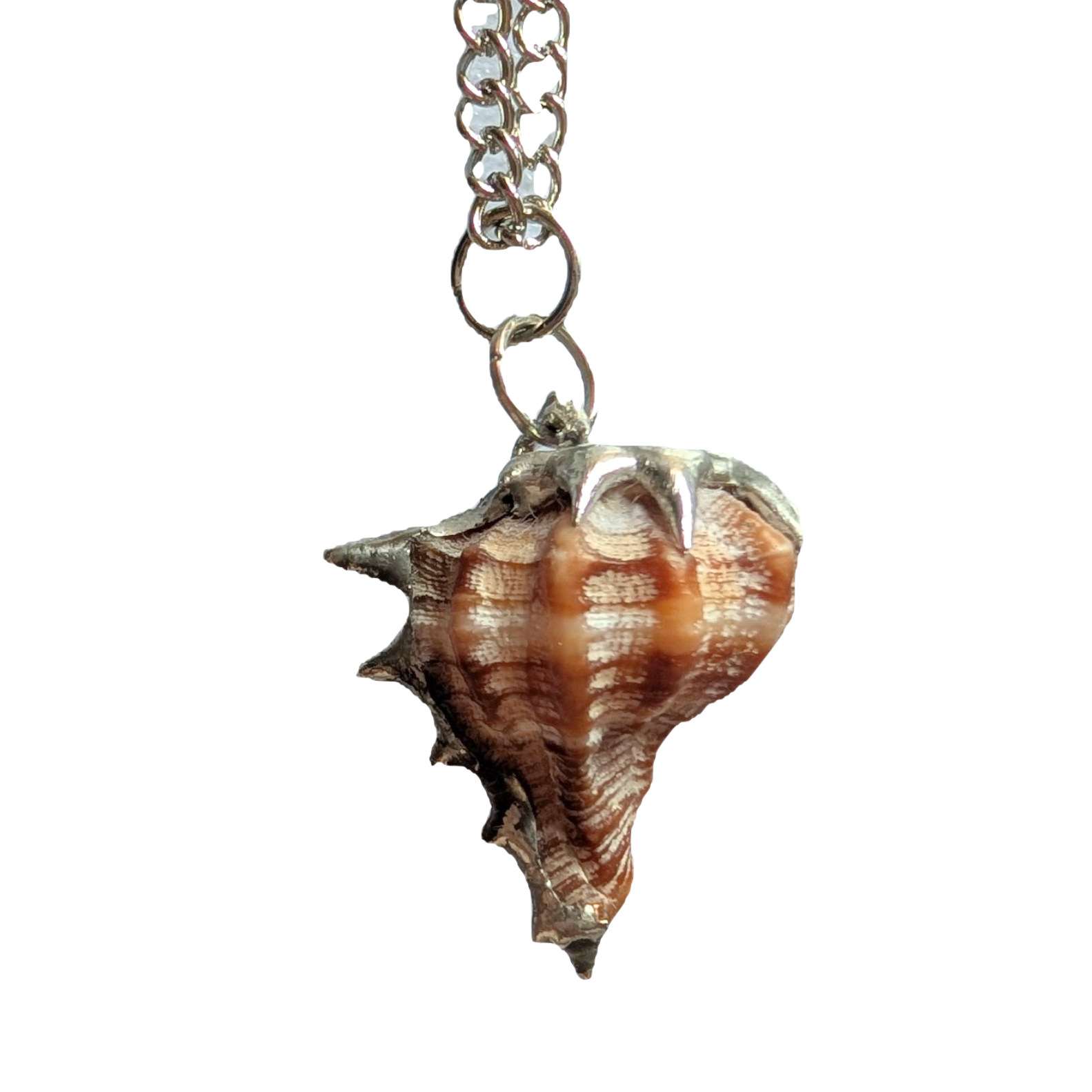 Upcycled Shell Claw Pendant – Organic Statement Jewelry | NECIA x Calicá