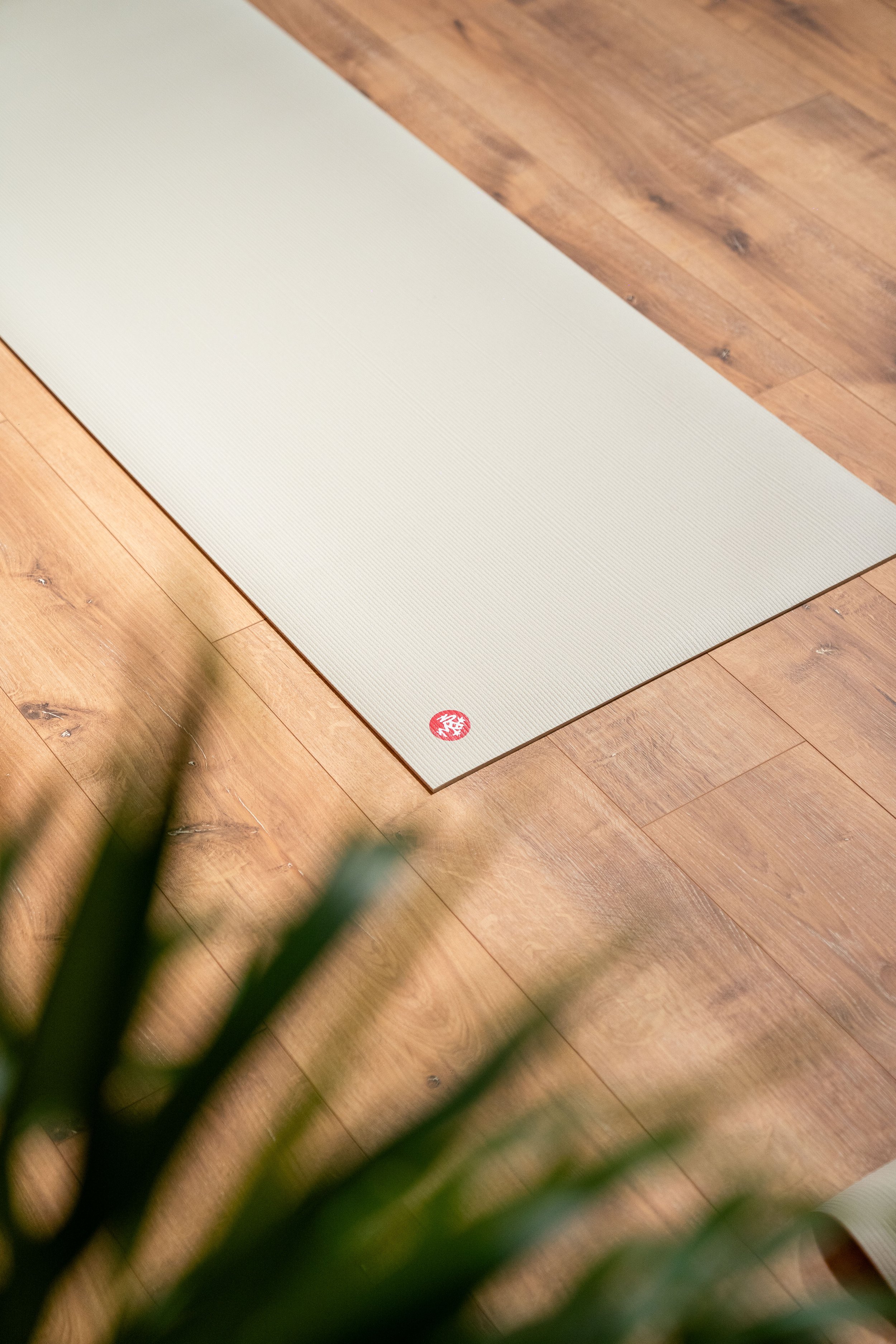 Photos d'un tapis de Yoga de la marque Manduka posé au sol de couleurs claire et avec une plante verte au premier plan pour venir habiller l'image