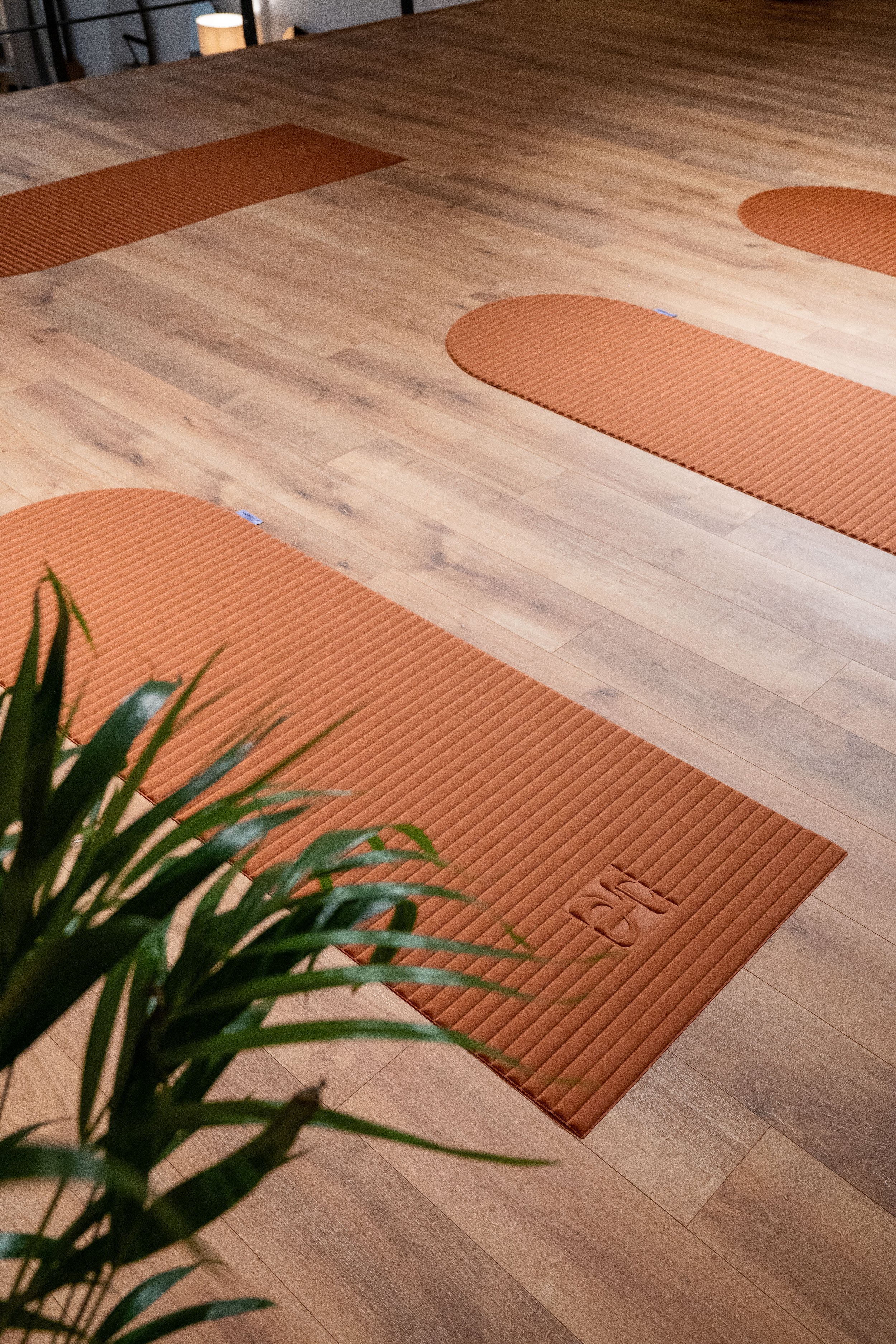 Tapis de Pilates mat ou sol de la marque Hercule studio posé au par terre avec en premiere plan une plante verte qui vient habiller la photo